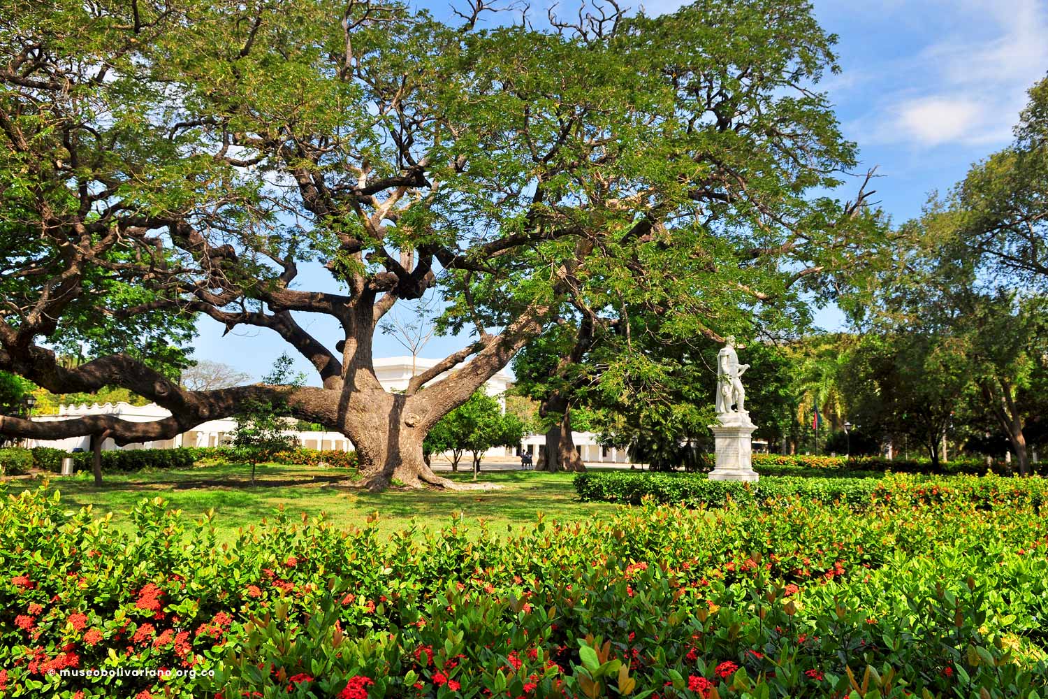 Jardín Botánico Quinta de San Pedro  Alejandrino