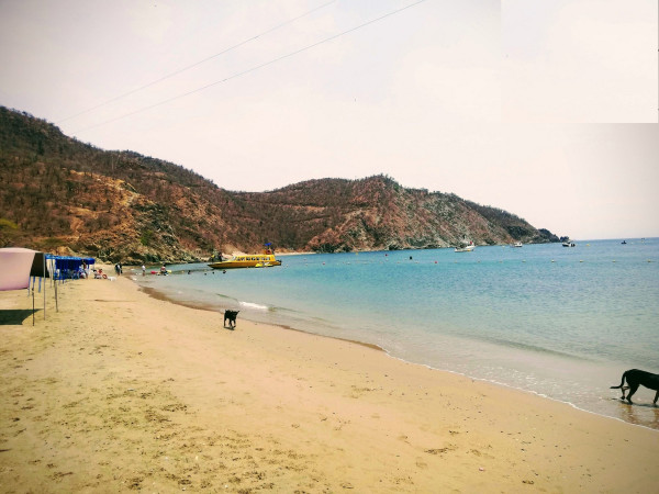 Combo Katamarán- Acuario Santa Marta