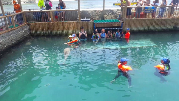 Delfinoterapia Acuario Santa Marta