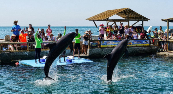 Acuario y Museo del Mar